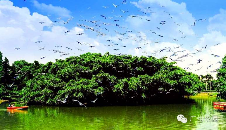 广东人常被问的问题,各省同学被问的奇葩问题