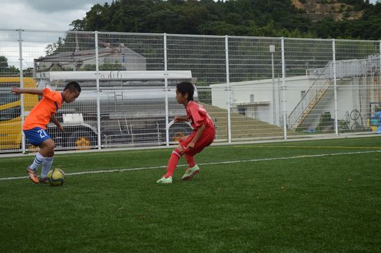 你是怎么爱上足球的,你是怎么喜欢上篮球的