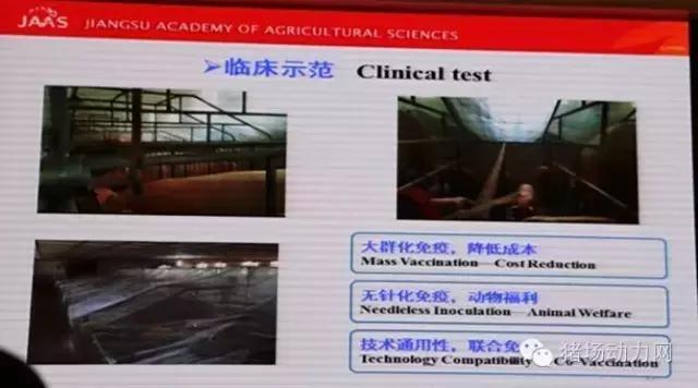 支原体肺炎国家防御方案,支原体肺炎抗病毒