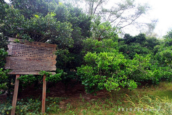 两院院士广东江门,江门院士有多厉害