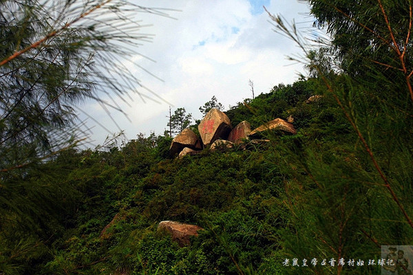 两院院士广东江门,江门院士有多厉害