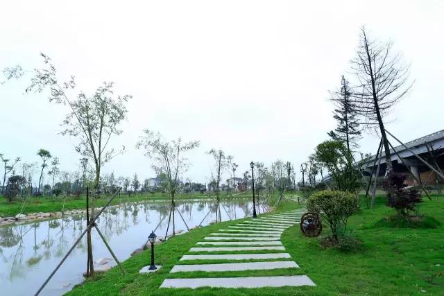 一封火爆全网的辞职信,一封辞职信的心声