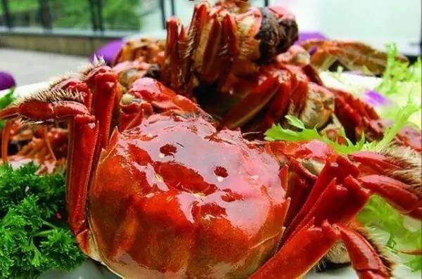 又到了吃大闸蟹的季节你学会了吗,吃大闸蟹最好的季节是什么时候呢