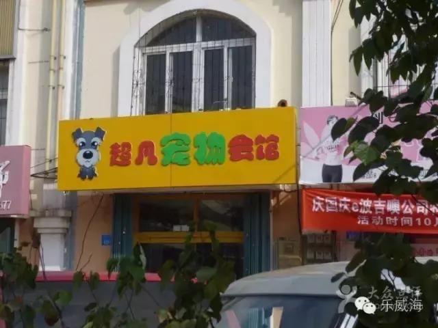 威海最全的宠物店汇总!喵奴汪主人还不速速收藏!