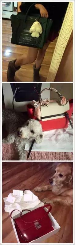 赵薇杨幂舒淇汤唯齐斗艳,赵薇舒淇黄晓明