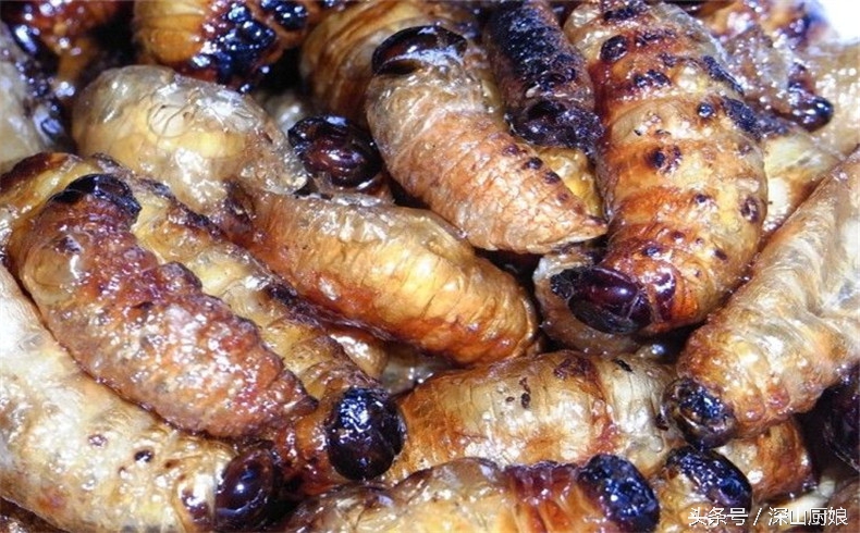 蛆虫吃法大全,肥肥的黑猪肉怎么吃