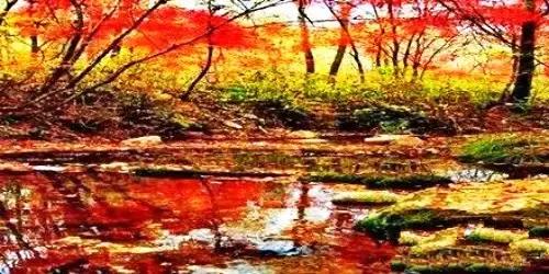 洛阳涧西区好玩的景点,洛阳35个免费景点