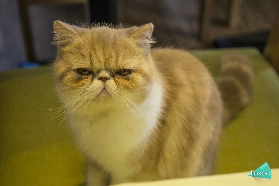 索尼a7详解,无关信仰唯有超越