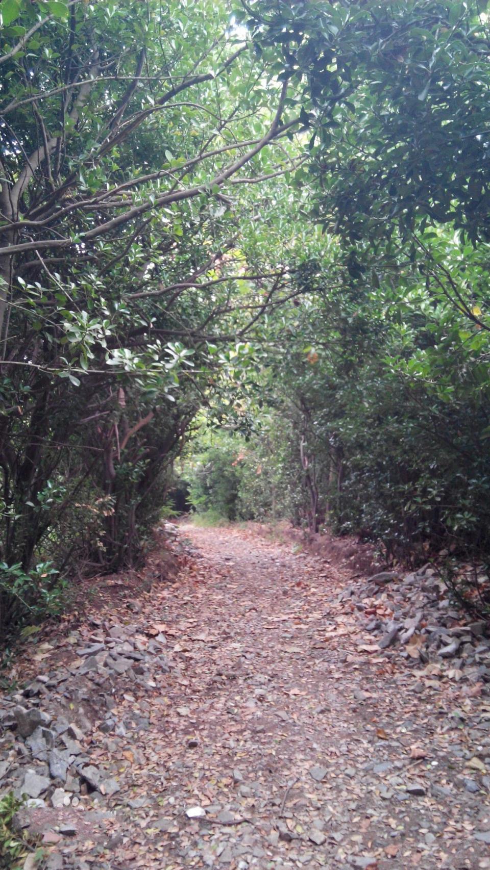 青岛有没有火山岛,青岛火山岛