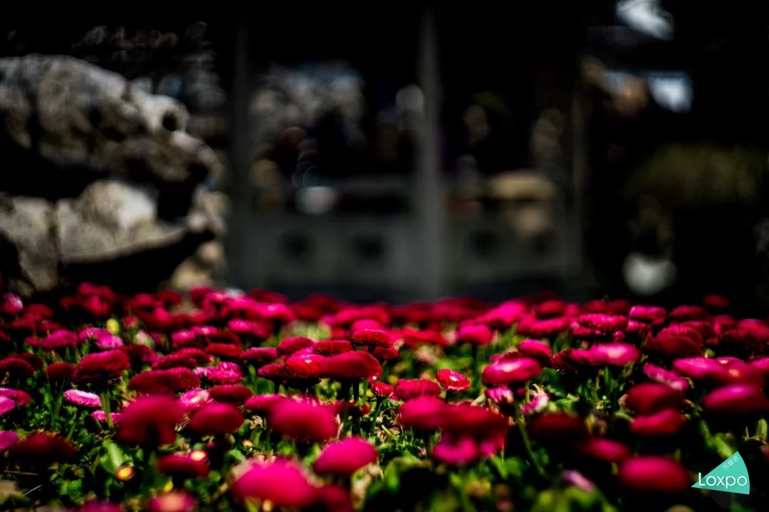 索尼a7详解,无关信仰唯有超越