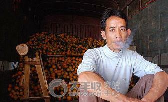 柑橘储藏的最佳方法,柑橘贮藏保鲜的八种方法果农必看