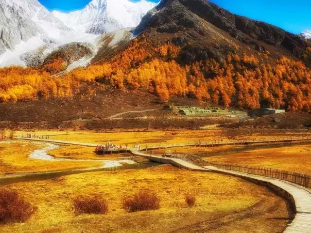 到底是去西藏还是去川西,西藏与川西这辈子总要来一趟吧