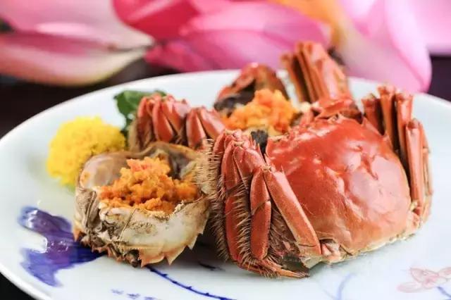 大闸蟹知识教程,大闸蟹基础知识培训