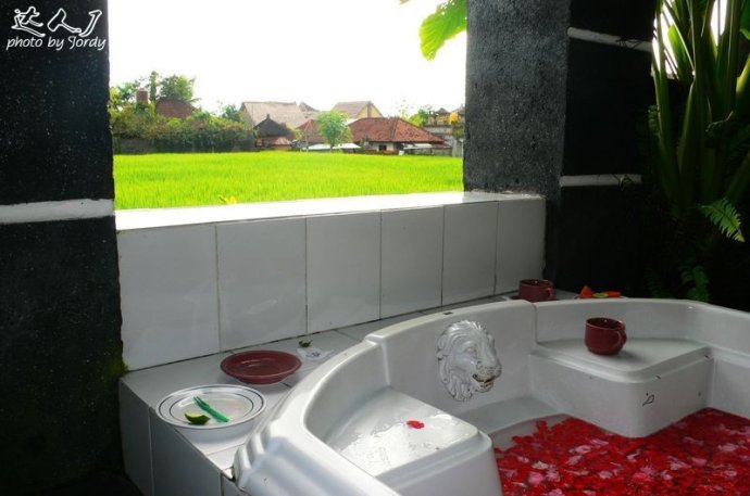 巴厘岛日常艺术照,巴厘岛顶级艺术