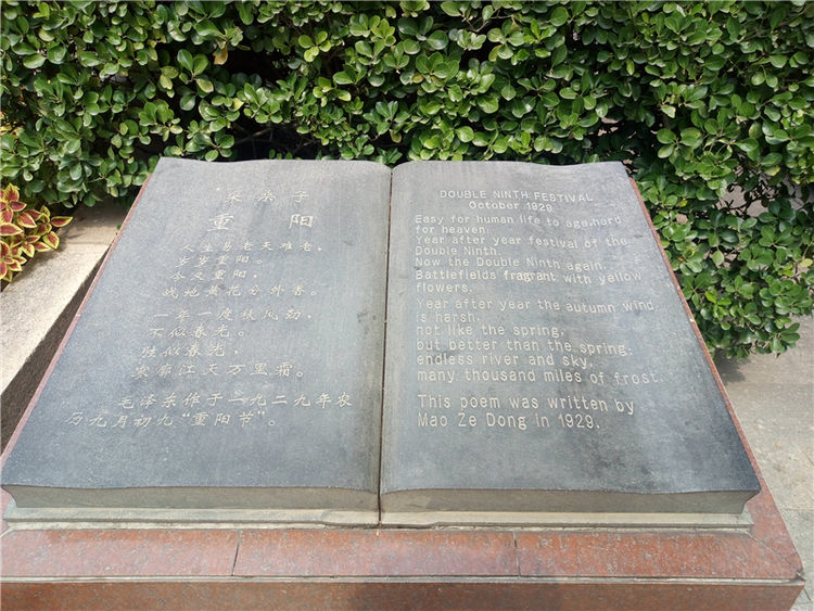 金立m6plus多大屏幕,金立m6plus玩吃鸡