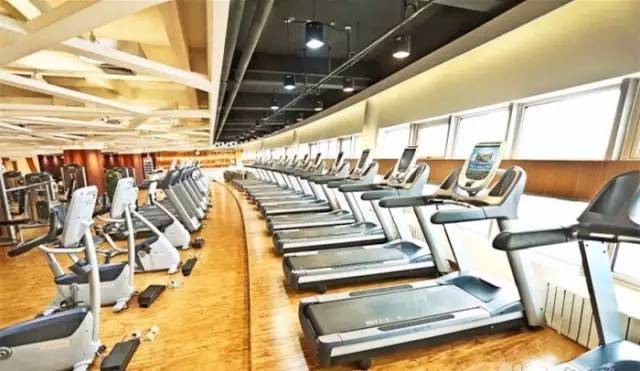器械最多最全的健身房,健身设备最全的健身房