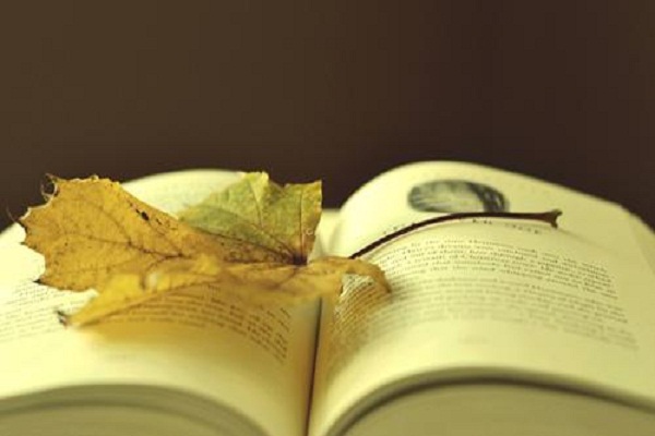 四大金刚考试,2016司法考试攻略