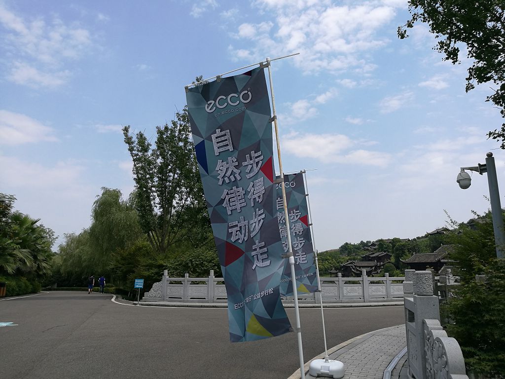 荣耀的旗舰系列,荣耀的旗舰手机