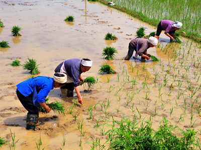 中医治疗精索静脉曲张药方,下肢静脉曲张的中西医治疗