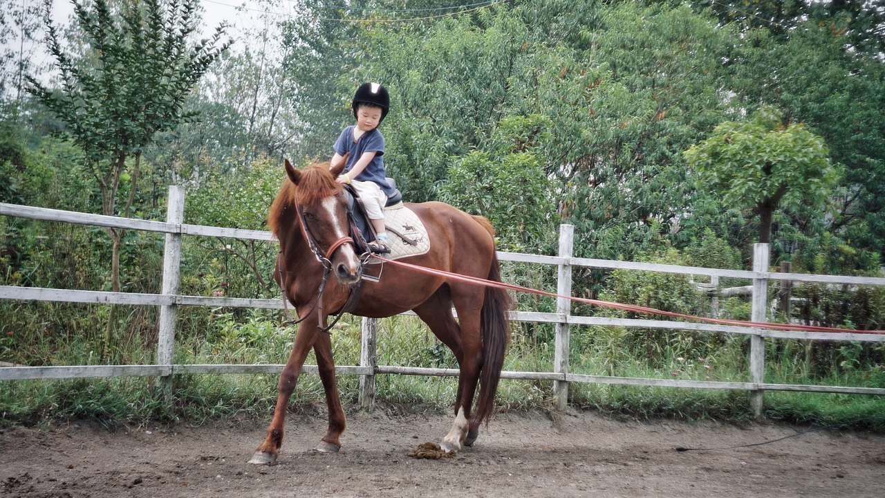 放慢脚步陪伴孩子,带娃慢慢悠悠的旅游