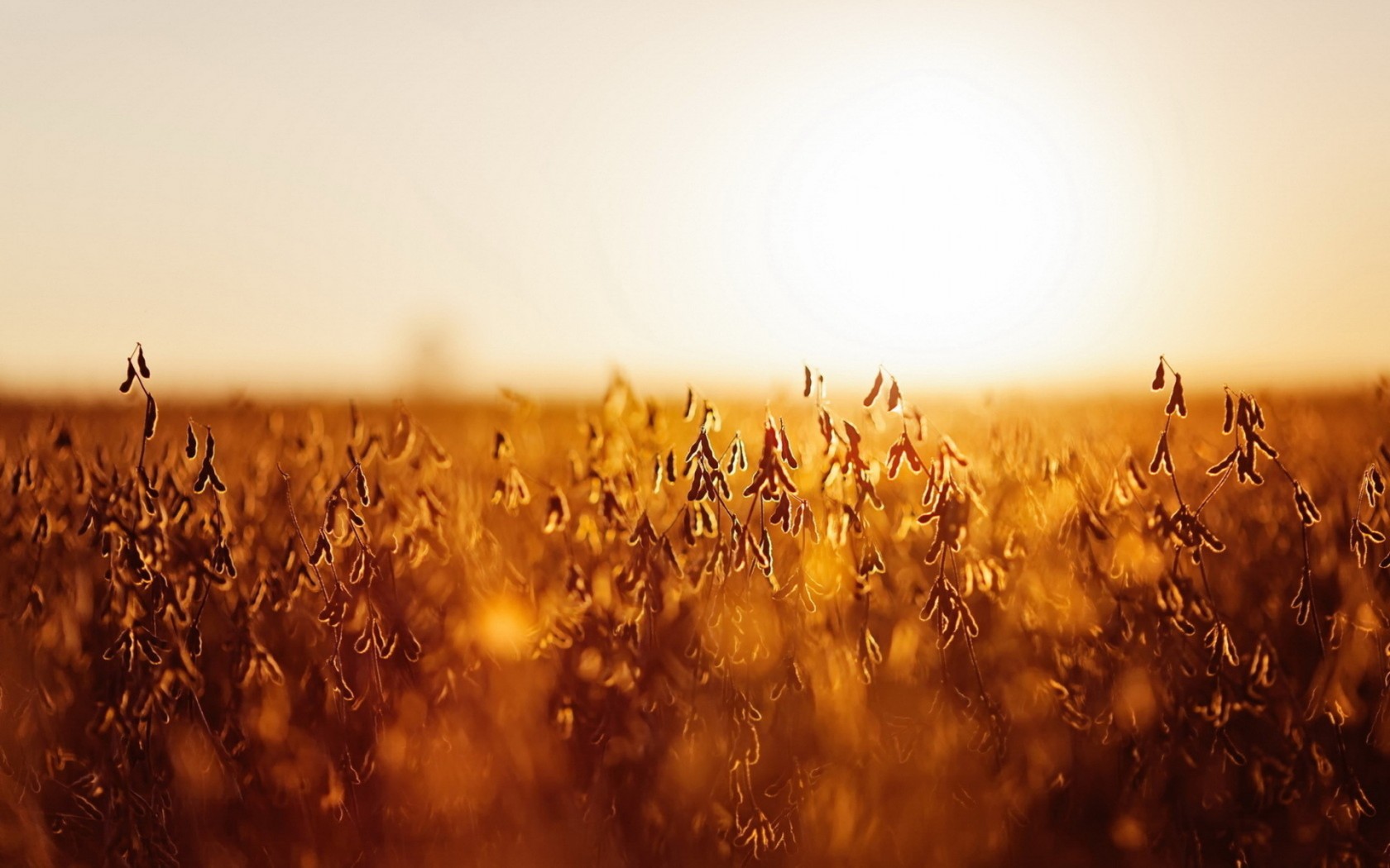 秋季护肤小知识视频,夏末初秋护肤要点