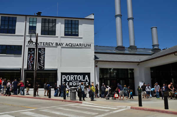 美西自驾6日游,美西10天自驾