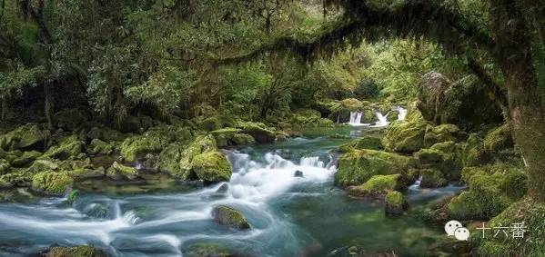 一张照片一段时光油画,随手一拍都是一幅画