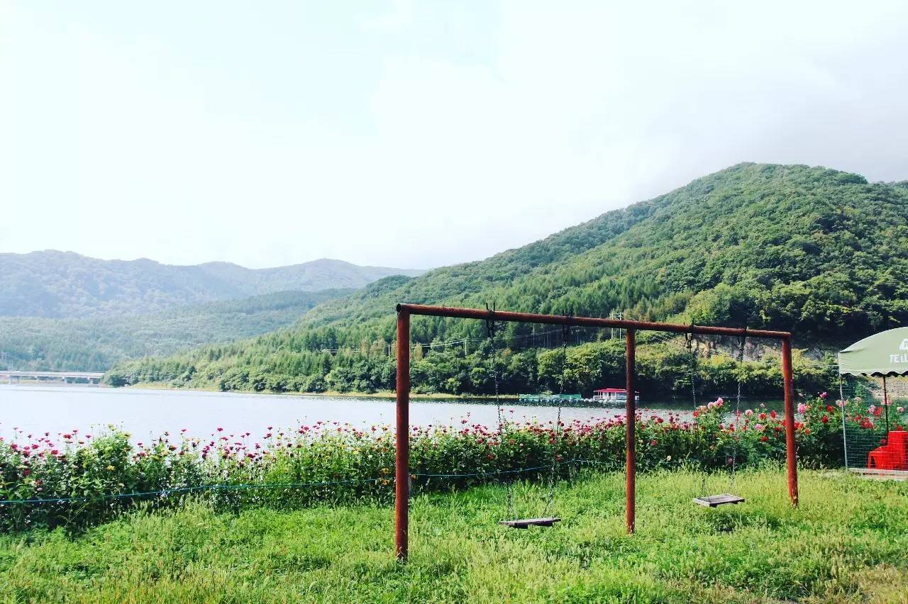 离沈阳45公里，竟隐藏着一种绝世美味！秒杀河豚大闸蟹！外地人都吃疯了，沈阳人还不知道！