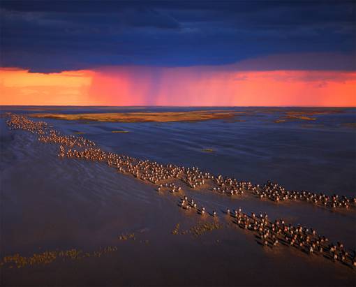 身价数十亿的他除了去无人区摄影，险些丧命，还用了6年时间和30多位石艺老匠人打造了一家不想挣钱的艺术馆