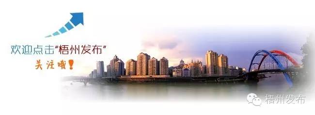 狮卧山规划图,狮卧山未来5年规划图