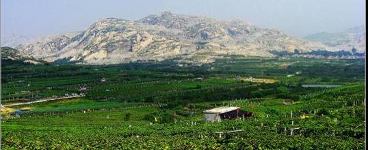 山东未来五年规划,不得了山东话