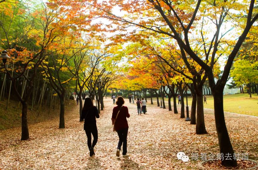 小清新韩国女装,小清新不一样