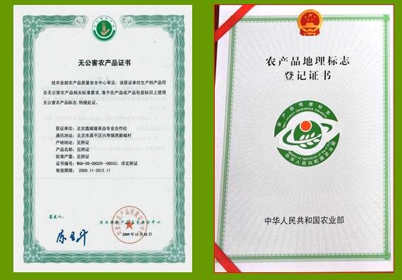 昌平区农业示范园采摘苹果,北京昌平苹果最佳采摘期