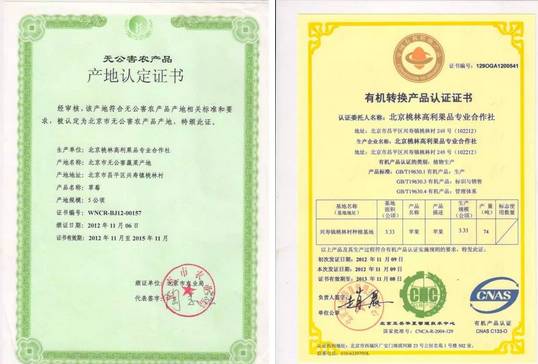 昌平区农业示范园采摘苹果,北京昌平苹果最佳采摘期