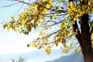 初冬的泸沽湖视频,初冬泸沽湖的水