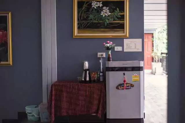 免费住|春田花花：香港混血掌柜在清迈致青春游世界