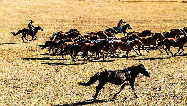 日本品牌马油真的很好用吗 (马油日本产品)