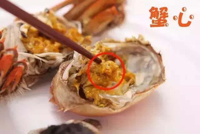 大闸蟹知识教程,大闸蟹基础知识培训