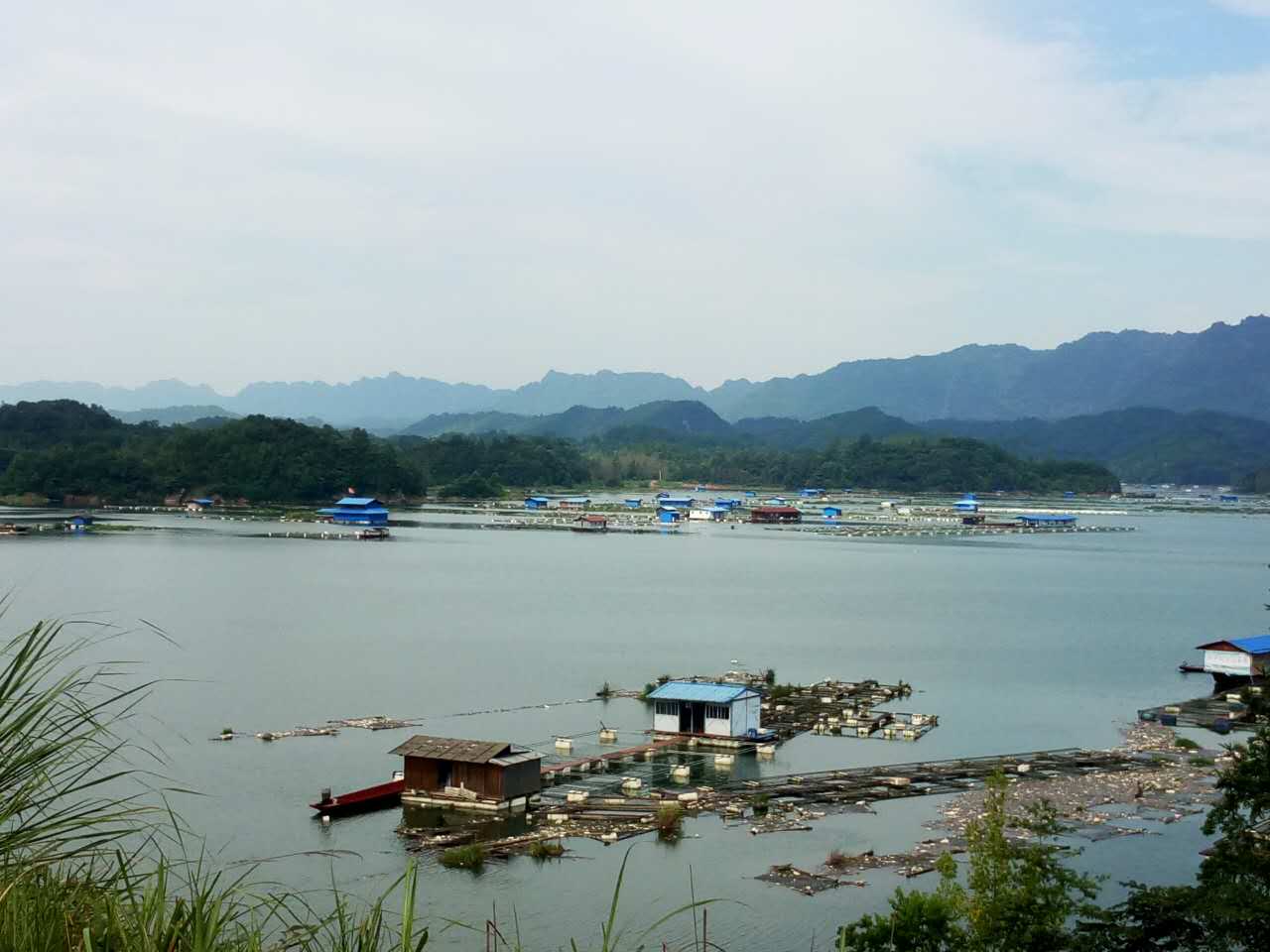 垂钓荒野之河中巨怪,荒野垂钓河中巨怪合集