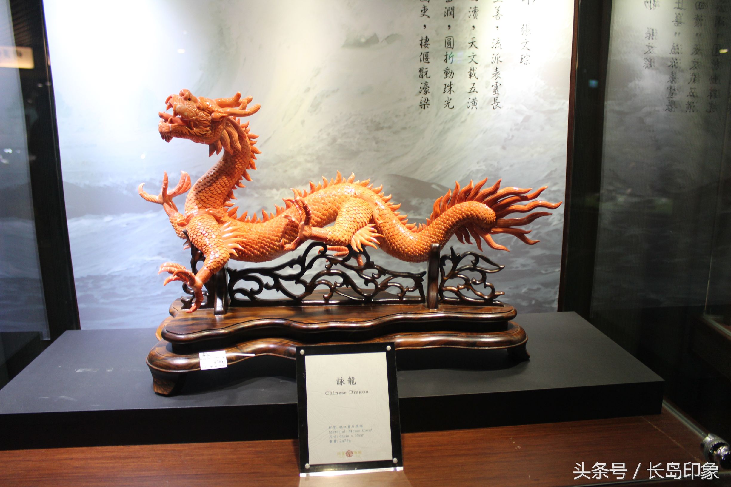 红珊瑚台湾寓意,台湾红珊瑚和日本红珊瑚的区别