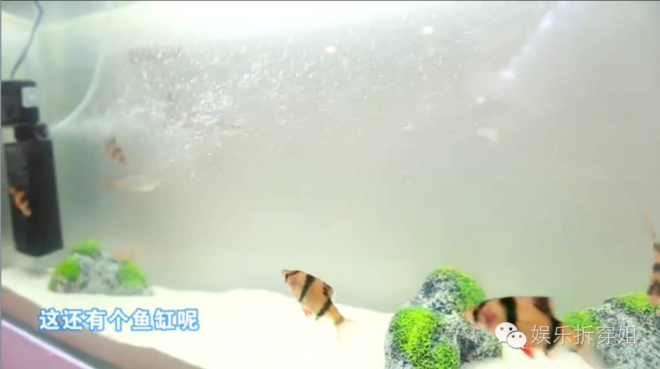 青山周平改装,青山周平的房子