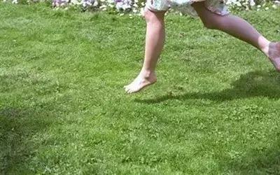 为什么日本人喝冰水寿命第一,日本人平均寿命2021