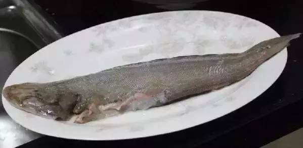 这种鱼真的不能给娃多吃,什么鱼炖汤好喝有营养适合孩子吃