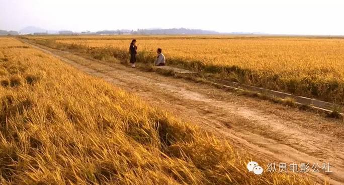 一口气看完系列杀人案件,一口气看完凶杀案