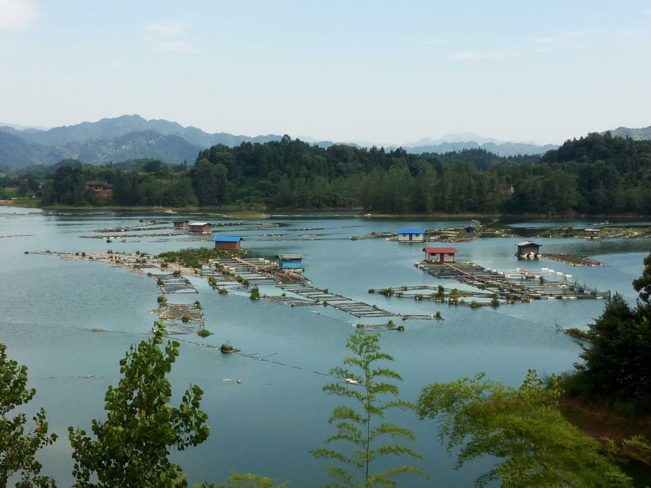 垂钓荒野之河中巨怪,荒野垂钓河中巨怪合集