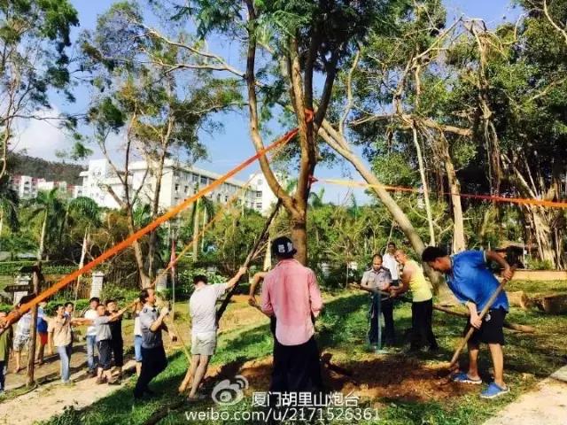 台风后的厦门值得一看,台风过后的厦门依然美丽