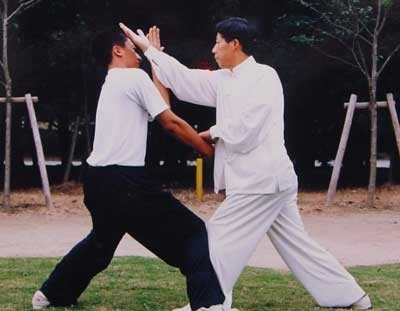 河南的拳,河南有什么拳