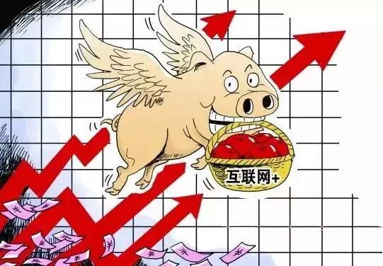 qq空间有什么好玩的的功能,qq空间能干什么