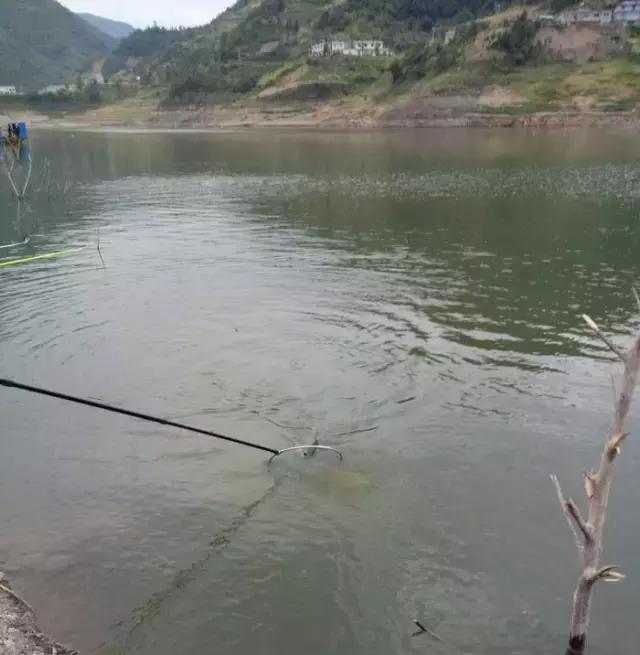 閽撻奔娓旇幏鎴樻姤,閽撻奔浜虹鎭╃埍