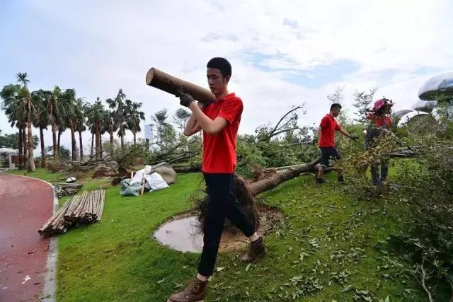 台风后的厦门值得一看,台风过后的厦门依然美丽